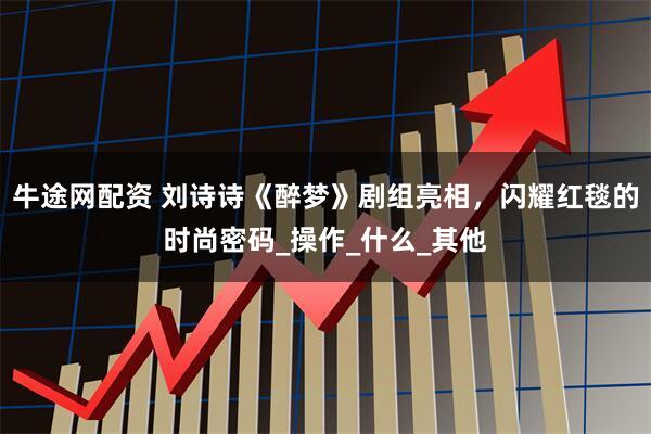 牛途网配资 刘诗诗《醉梦》剧组亮相，闪耀红毯的时尚密码_操作_什么_其他