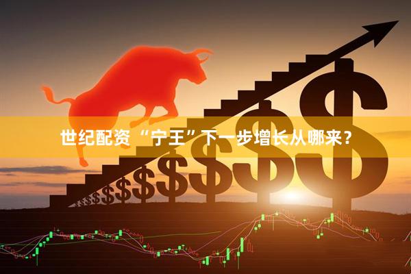 世纪配资 “宁王”下一步增长从哪来？