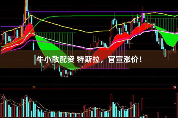牛小散配资 特斯拉，官宣涨价！