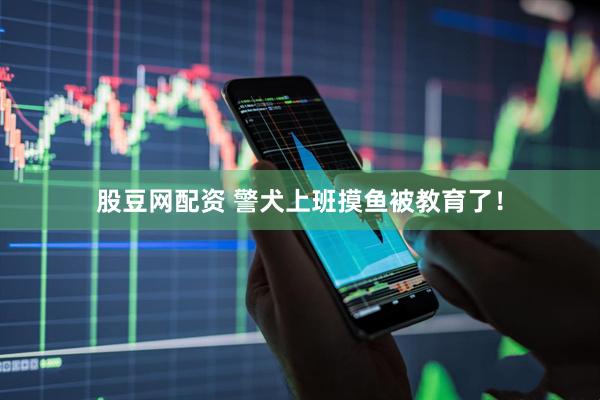 股豆网配资 警犬上班摸鱼被教育了！