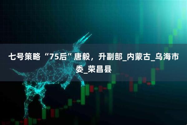 七号策略 “75后”唐毅，升副部_内蒙古_乌海市委_荣昌县