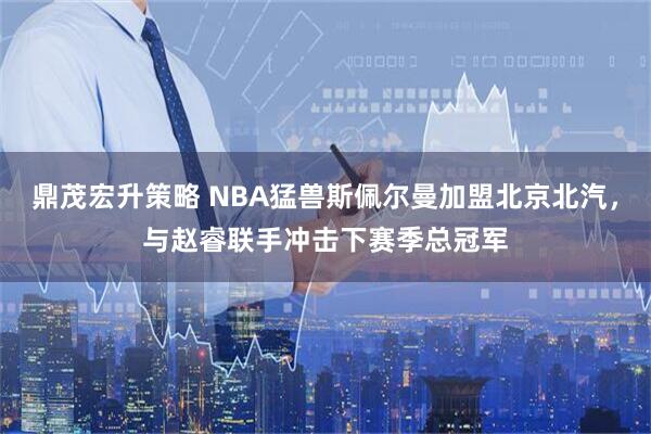 鼎茂宏升策略 NBA猛兽斯佩尔曼加盟北京北汽，与赵睿联手冲击下赛季总冠军