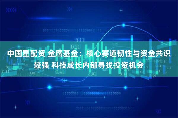中国星配资 金鹰基金：核心赛道韧性与资金共识较强 科技成长内部寻找投资机会