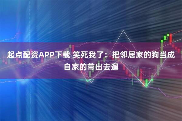 起点配资APP下载 笑死我了：把邻居家的狗当成自家的带出去遛