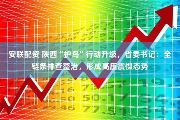 安联配资 陕西“护鸟”行动升级，省委书记：全链条排查整治，形成高压震慑态势